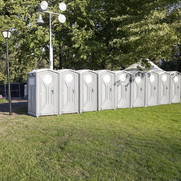how accessible are the portable sanitation solutions for people with disabilities
